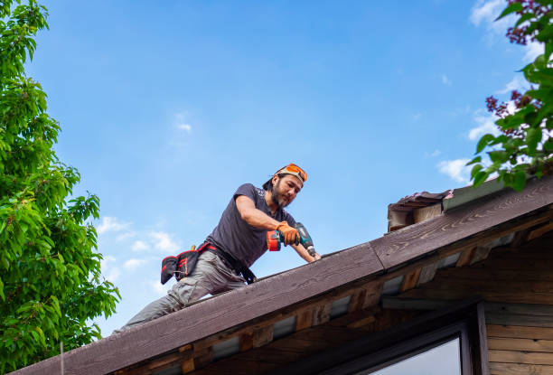 Best Commercial Roofing Services  in Cedar Springs, MI