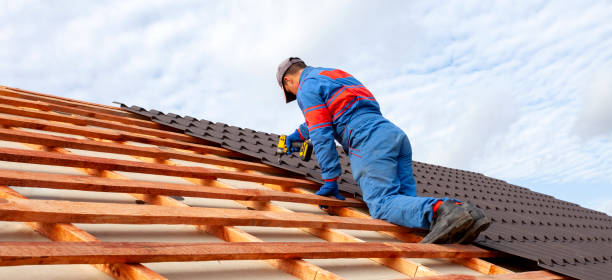 Best Skylight Installation and Repair  in Cedar Springs, MI