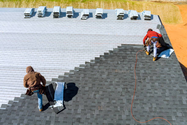 Best Roofing for New Construction  in Cedar Springs, MI